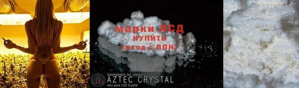 сатива Алзамай