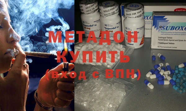 сатива Алзамай