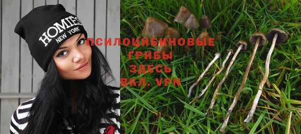 дмт Алексеевка